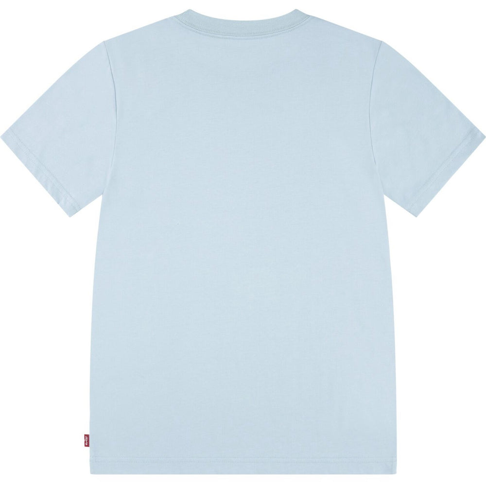 Køb Levi's Ether Lvb Desert At Dusk Tee