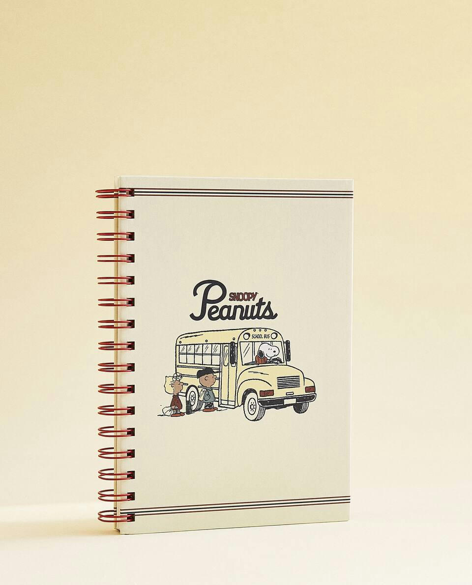 AMENDOIM? CADERNO