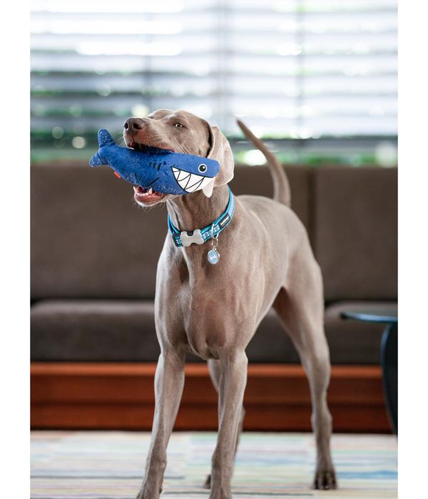 Red Dingo Hundespielzeug DURABLES Toys Hai