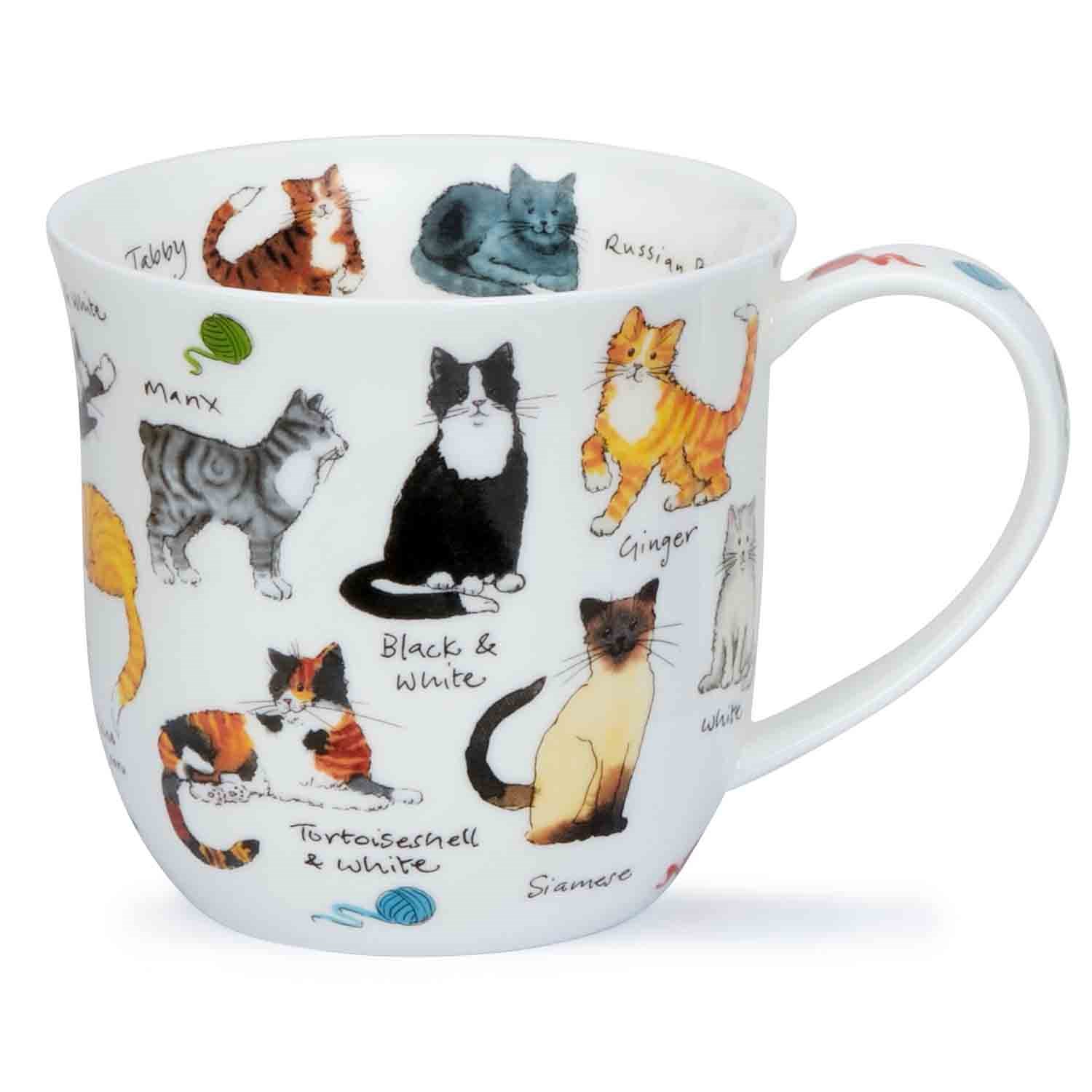 Dunoon Becher Cumbrae Cat Breeds