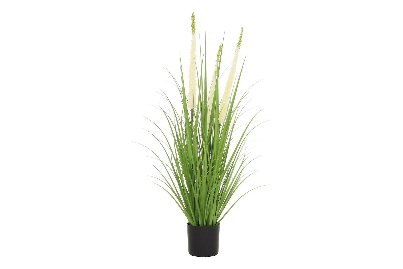 Hvaler gress potteplante Grønn H90 cm