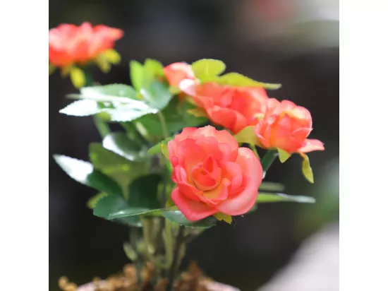 ~Rosier plante fleur artificielle extérieur cimetière tissu corail12cm