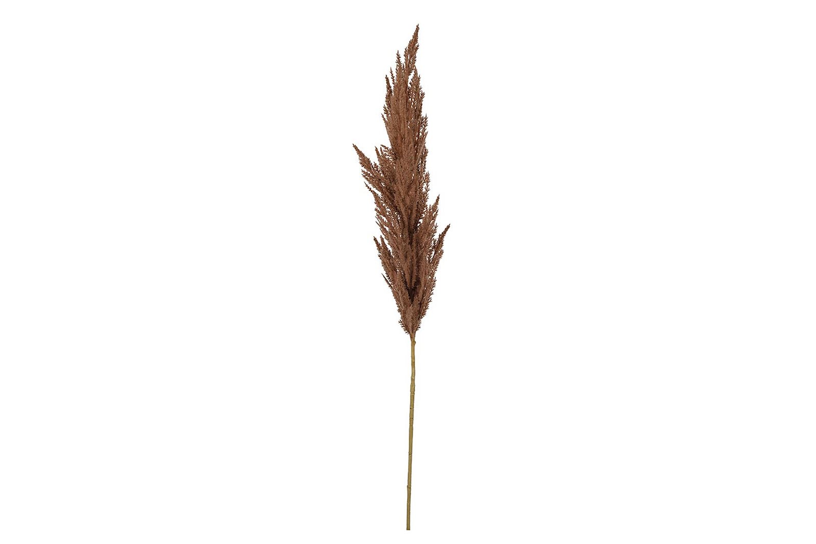 Pampasgress Brun H120 cm
