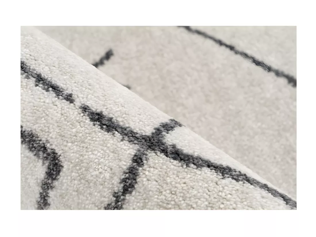 Tapis 290x200cm, design A305R coloris ivoire - Confort et élégance pour votre intérieur