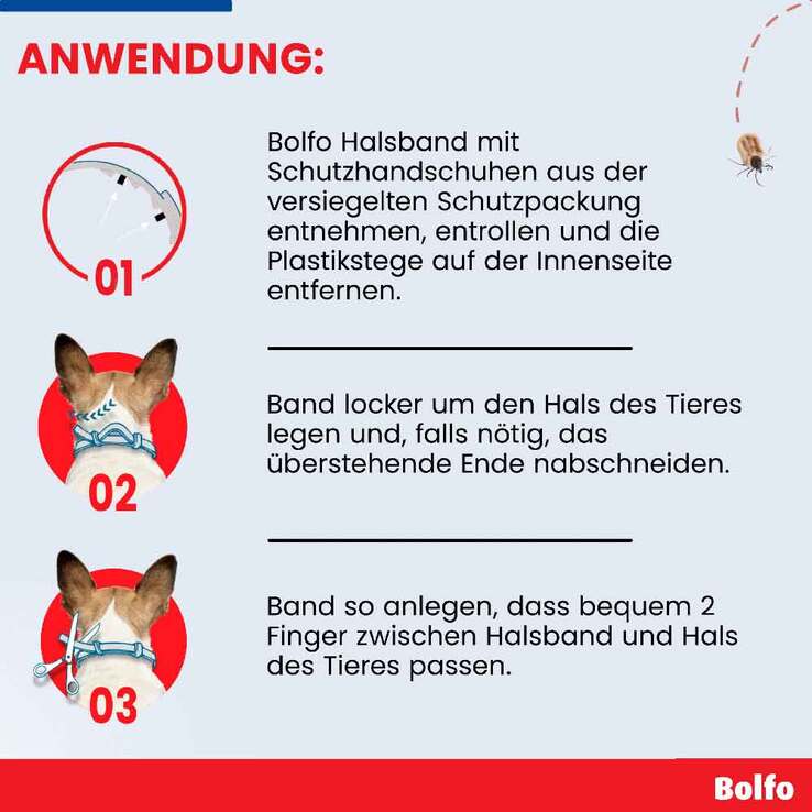 Bolfo Zecken- und Flohschutzband für Katzen und kleine Hunde, 1 St