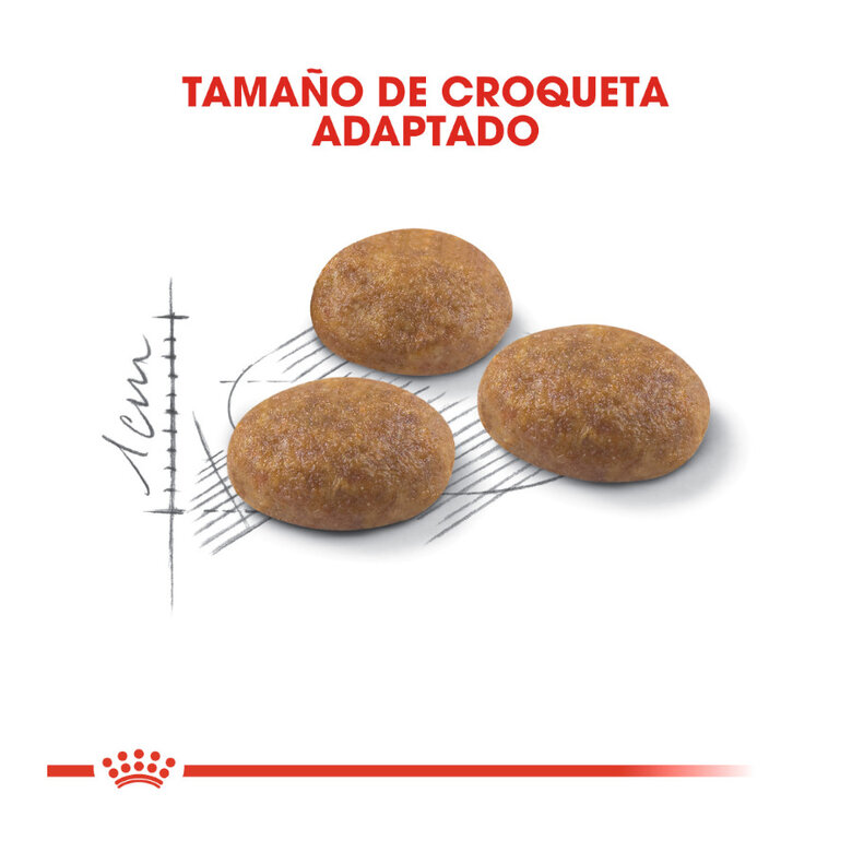Ração Royal Canin Active Life Outdoor para gatos