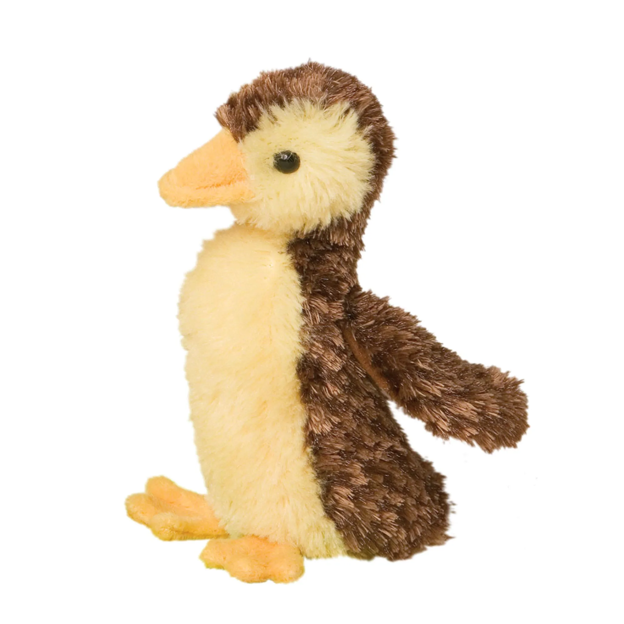Douglas Canard Malard 6