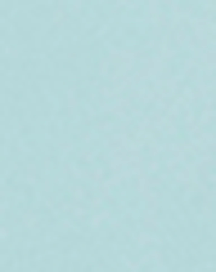 Silikon-Schale STICK&STAY BOWL – OZZO in blau
