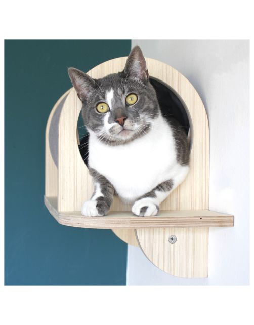 All For Paws Skywalk - Grooming Hideaway Tunnel - Wandkrabpaal - 28x13x29 cm Grijs