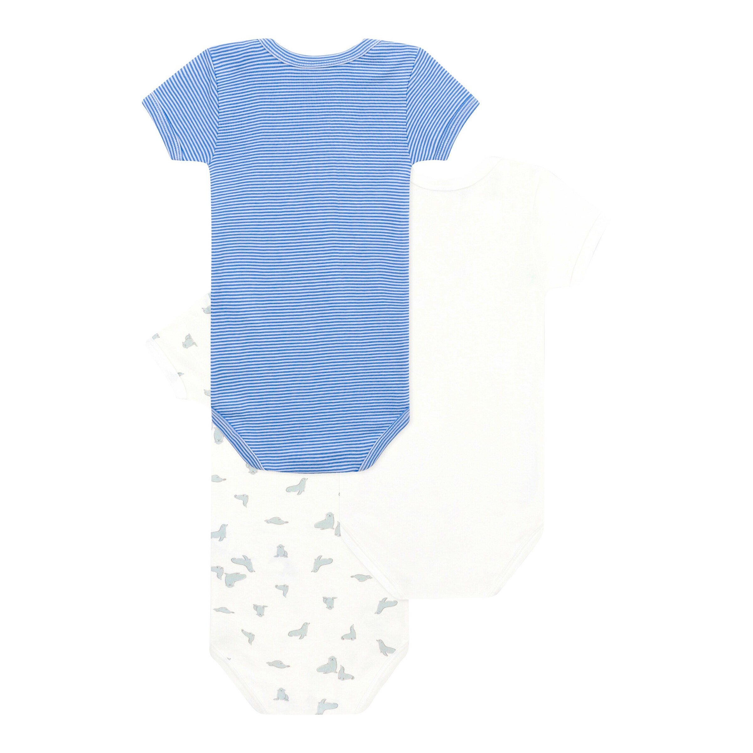 Petit Bateau 3er-Pack Bodys kurzarm Robben Ringel weiß/blau