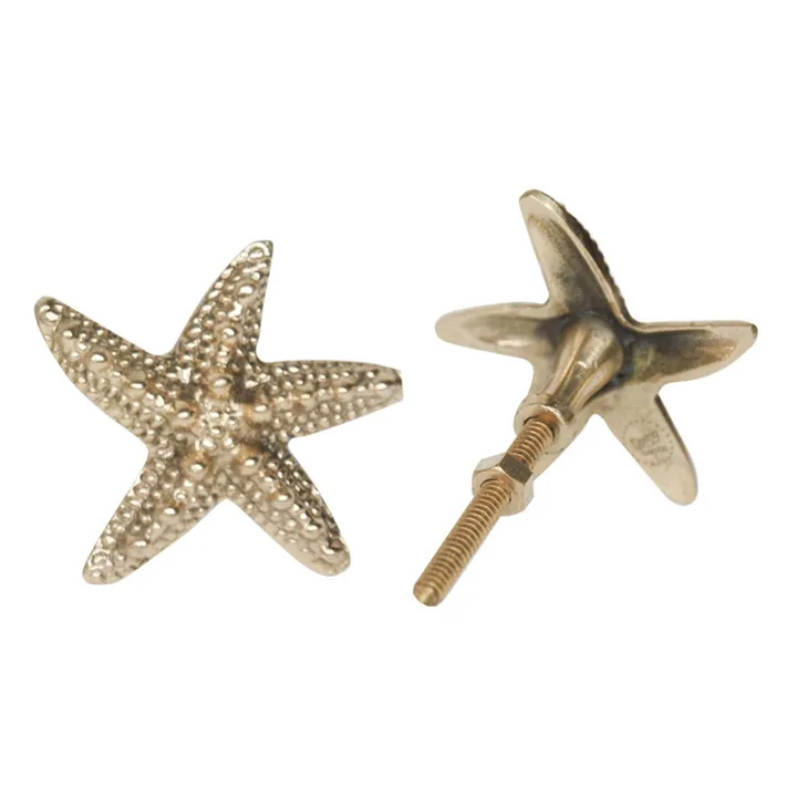 Doing Goods Poignée de porte en laiton Seastar Ruby | Gold