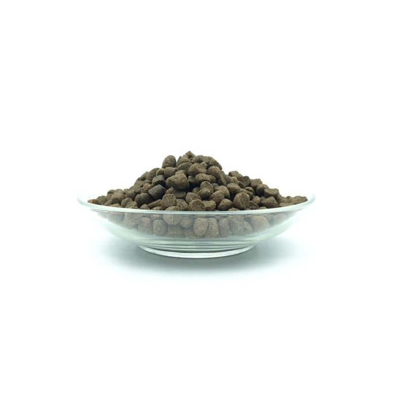 Bellfor Havaneser Futter Set für Hunde