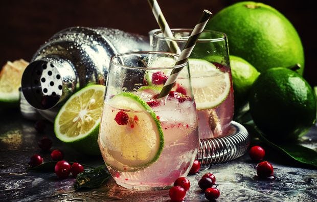 Gin Tasting in Osthofen als Geschenk