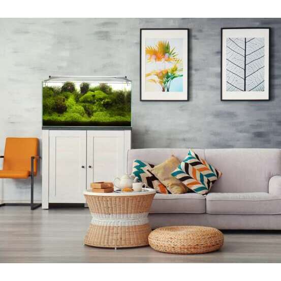 Aquarium cuve nue en verre 