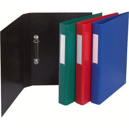 Exacompta 54383E Ringbuch, grün