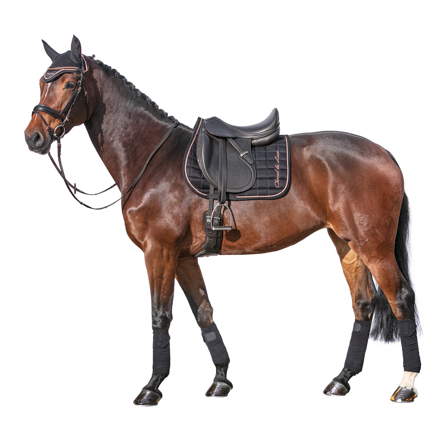 Cheval de Luxe Schabracke  - black/rose