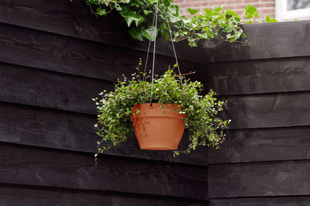 Elho hangpot Vibia Campana terracotta D 26 H 18,4 cm