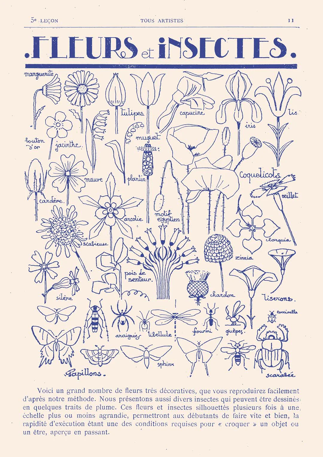 Fleurs et Insectes von Astër