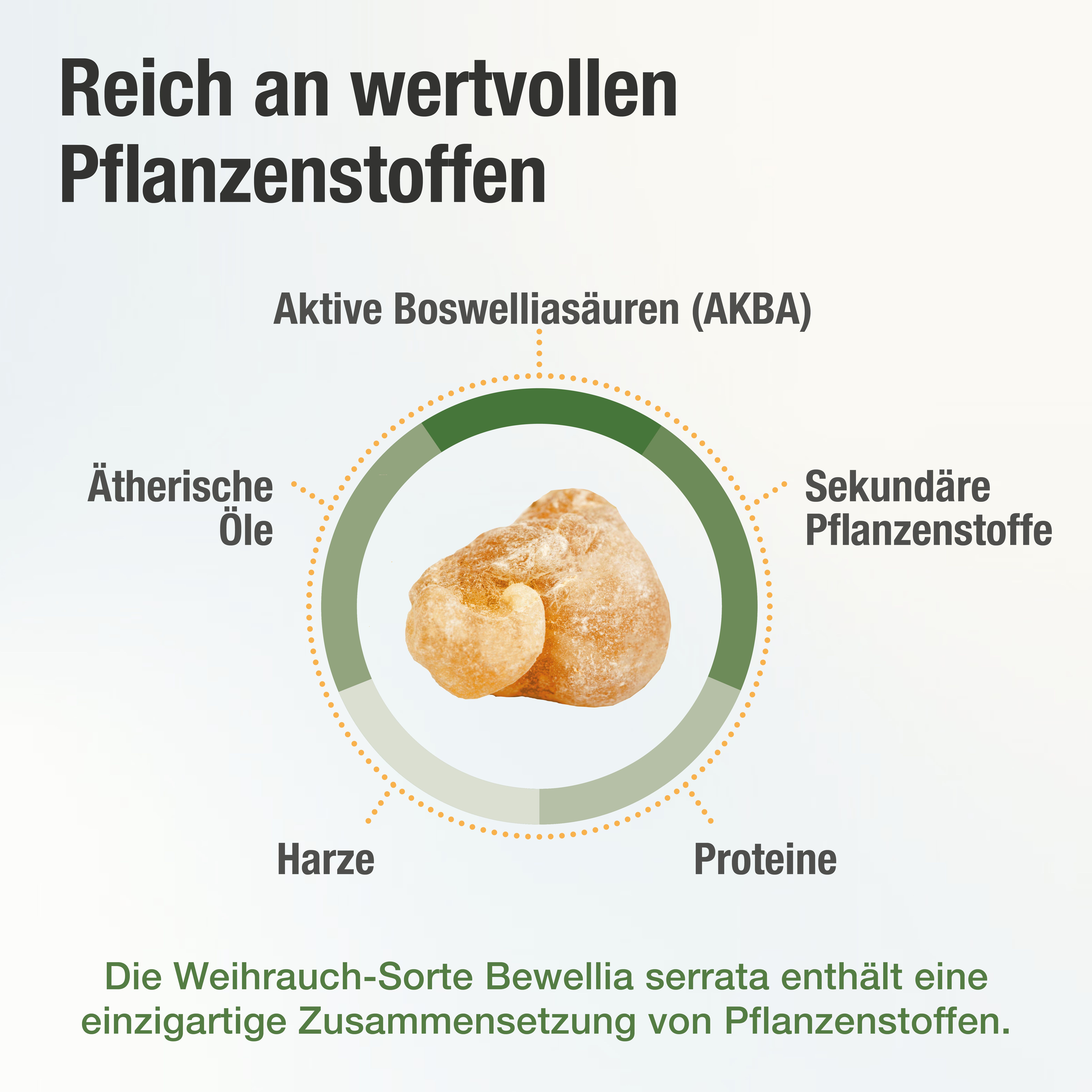 BEWELIA® PLUS +