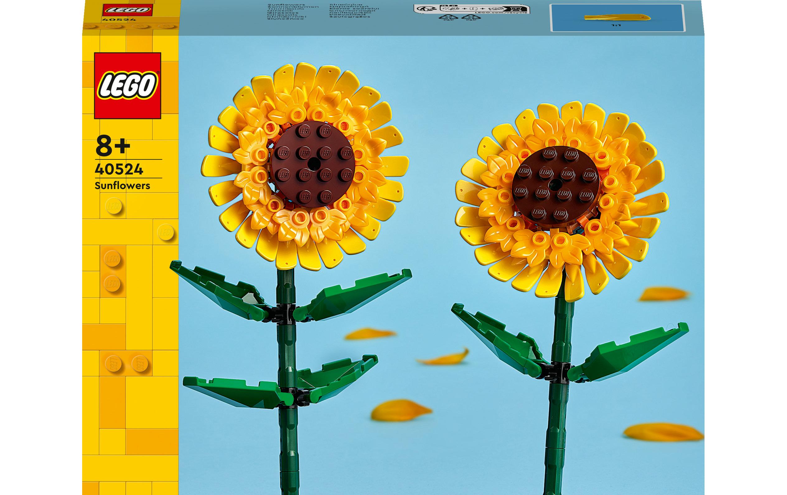 Saisonal Sonnenblumen 40524Sonnenblumenstrauss zum Ausstellen