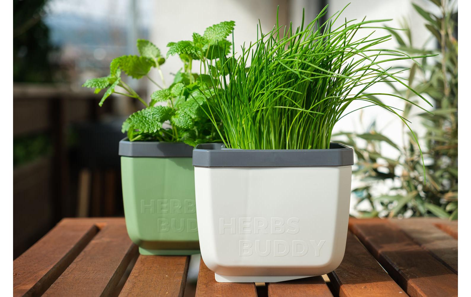 HERBS BUDDY Kräutertopf DunkelgrünKräutertopf mit Wasserreservoir und Kippfunktion