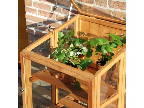 Mini serre de jardin en bois dur 118,5 cm