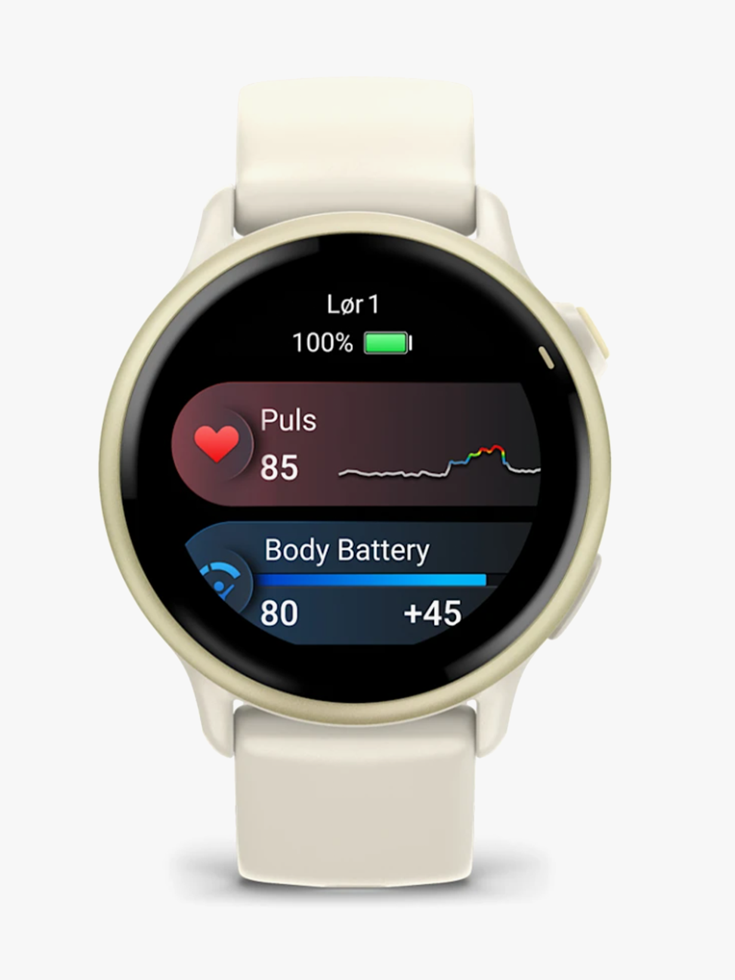 Vivoactive 6