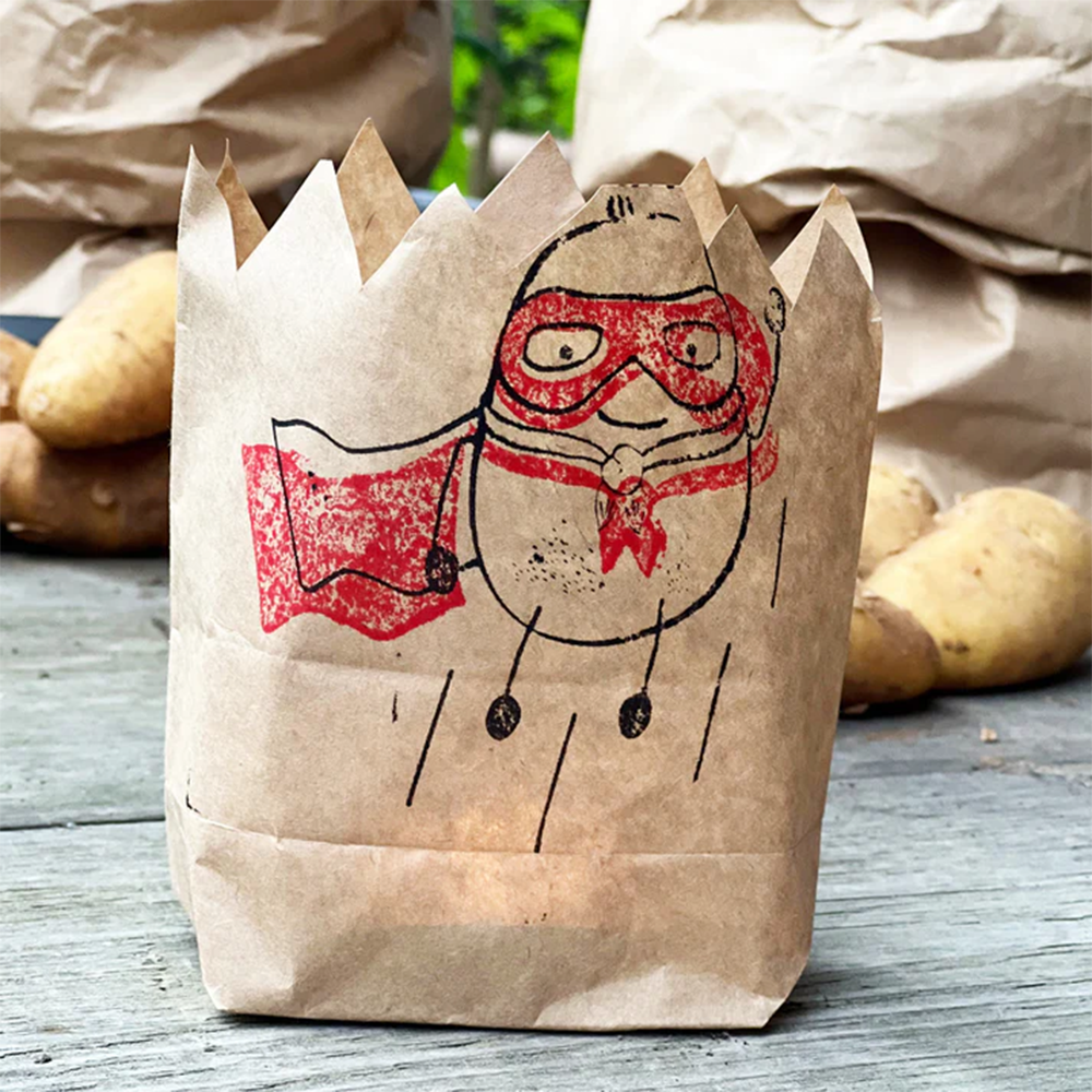 Papier Wundertüte Überraschungs Geschenk Tüte Anzuchtset Mitbringsel (63586) - Superkartoffel