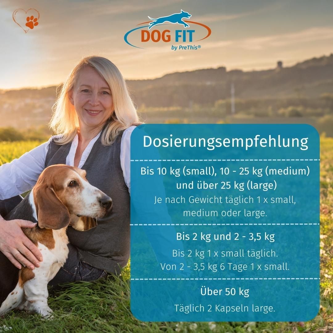 DOG FIT by PreThis® JOINTS » Natürliches Gelenkpräparat für Hunde (medium)