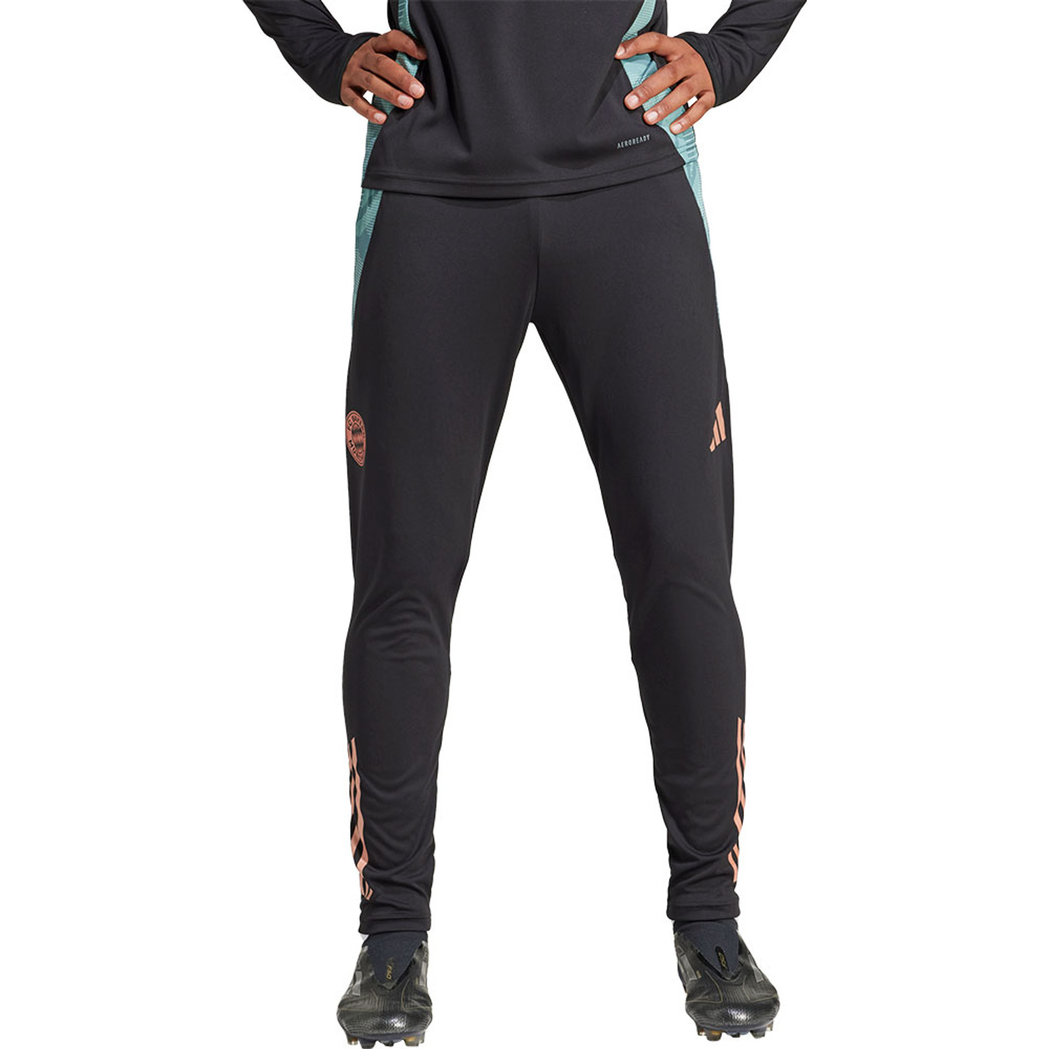 adidas Bayern München Training Pant 2024/2025