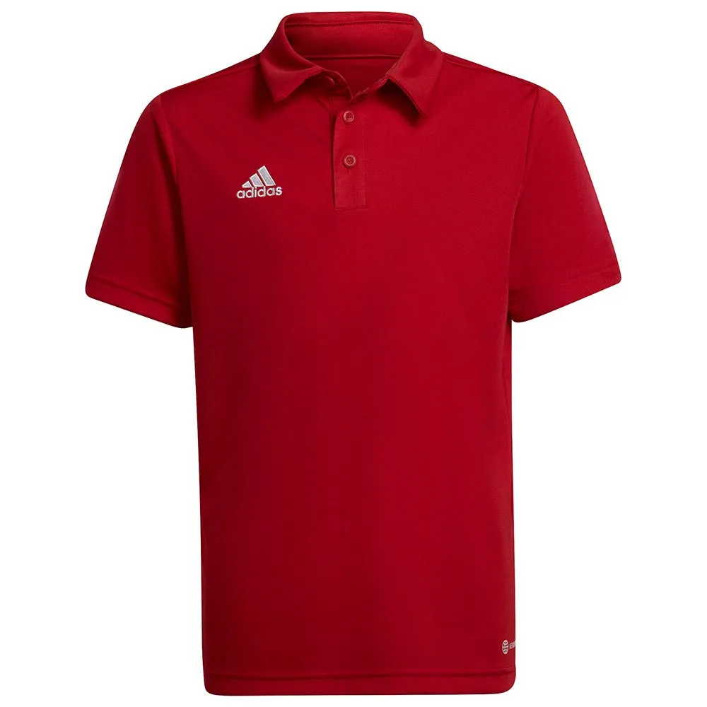 Camisa polo de manga curta adidas Entrada 22