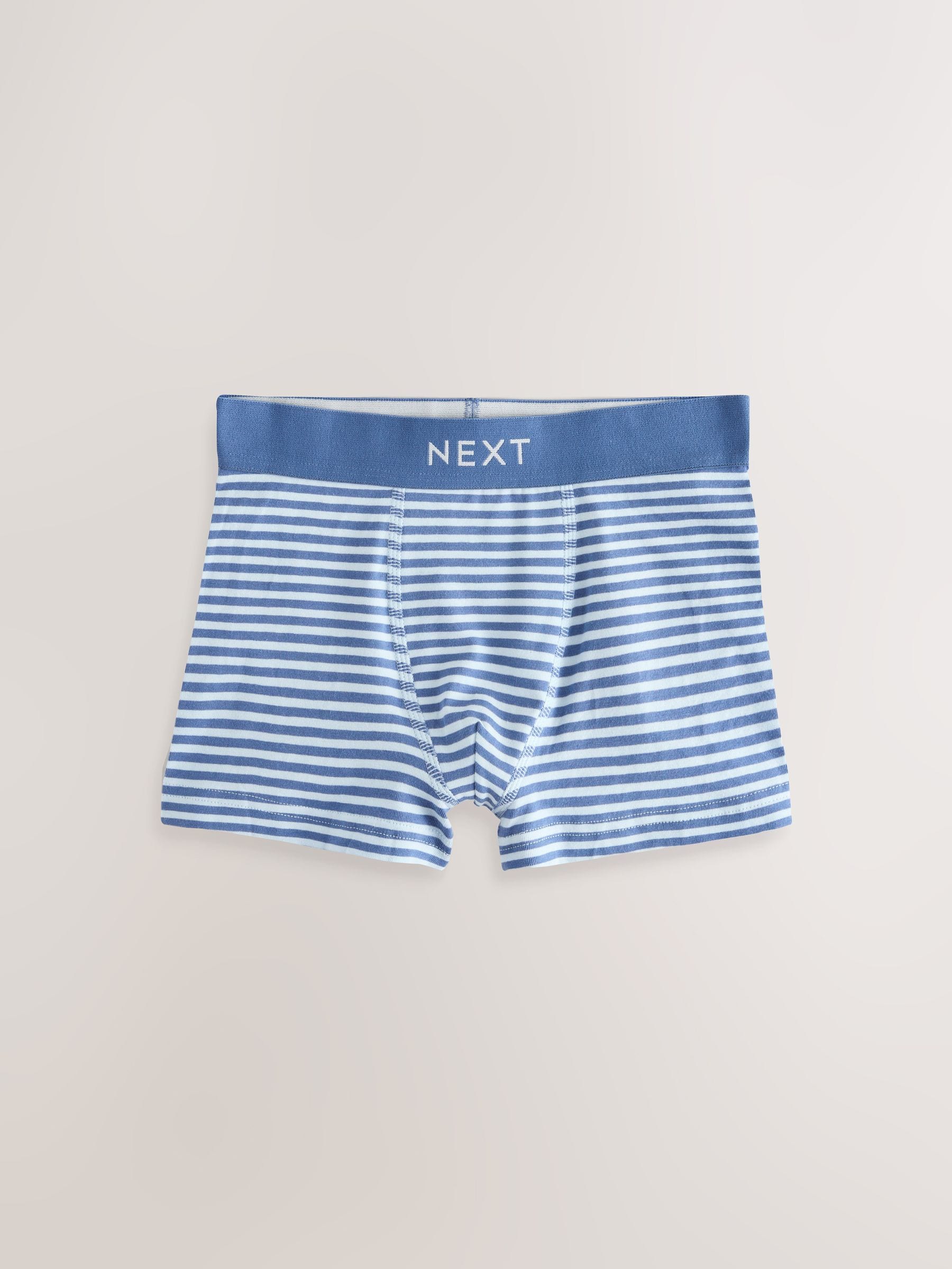 Blauw Mini Voertuig - Verpakking van 10 trunks (1,5-16jr)