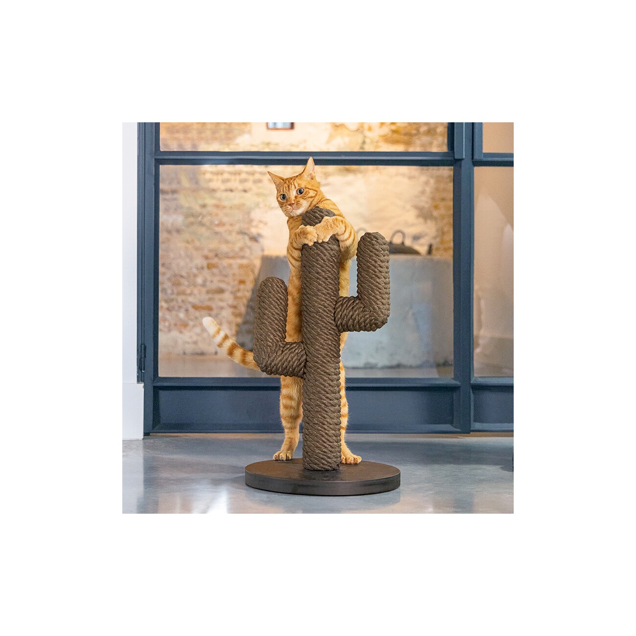 Designed by Lotte DBL Kratzbaum Kaktus schwarz