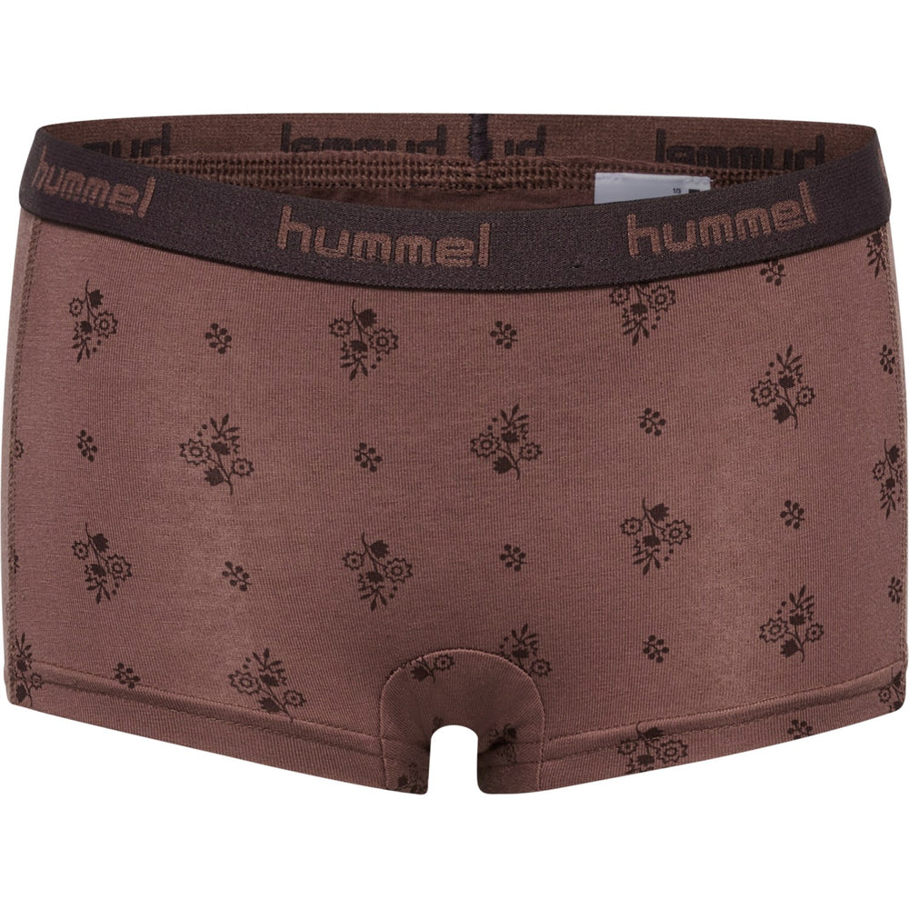 Køb Hummel Raisin Carolina Hipsters 2-Pak