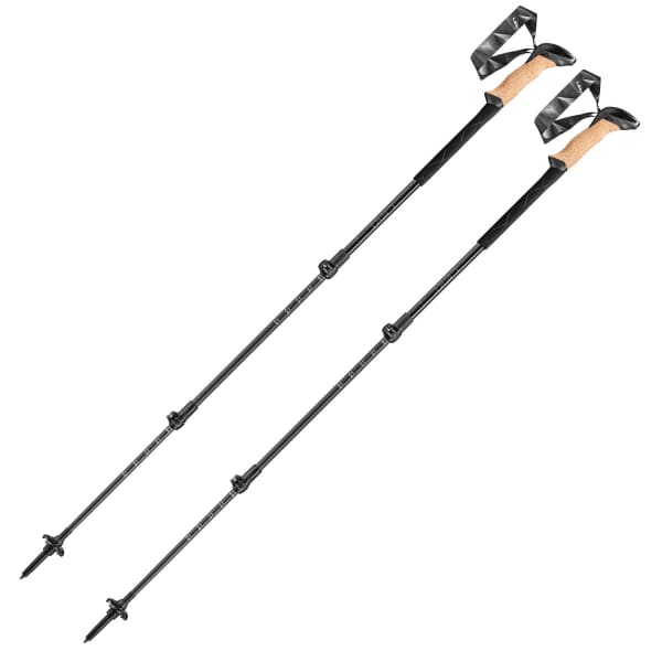Bâton de randonnée LEKI BLACK SERIES CARBON