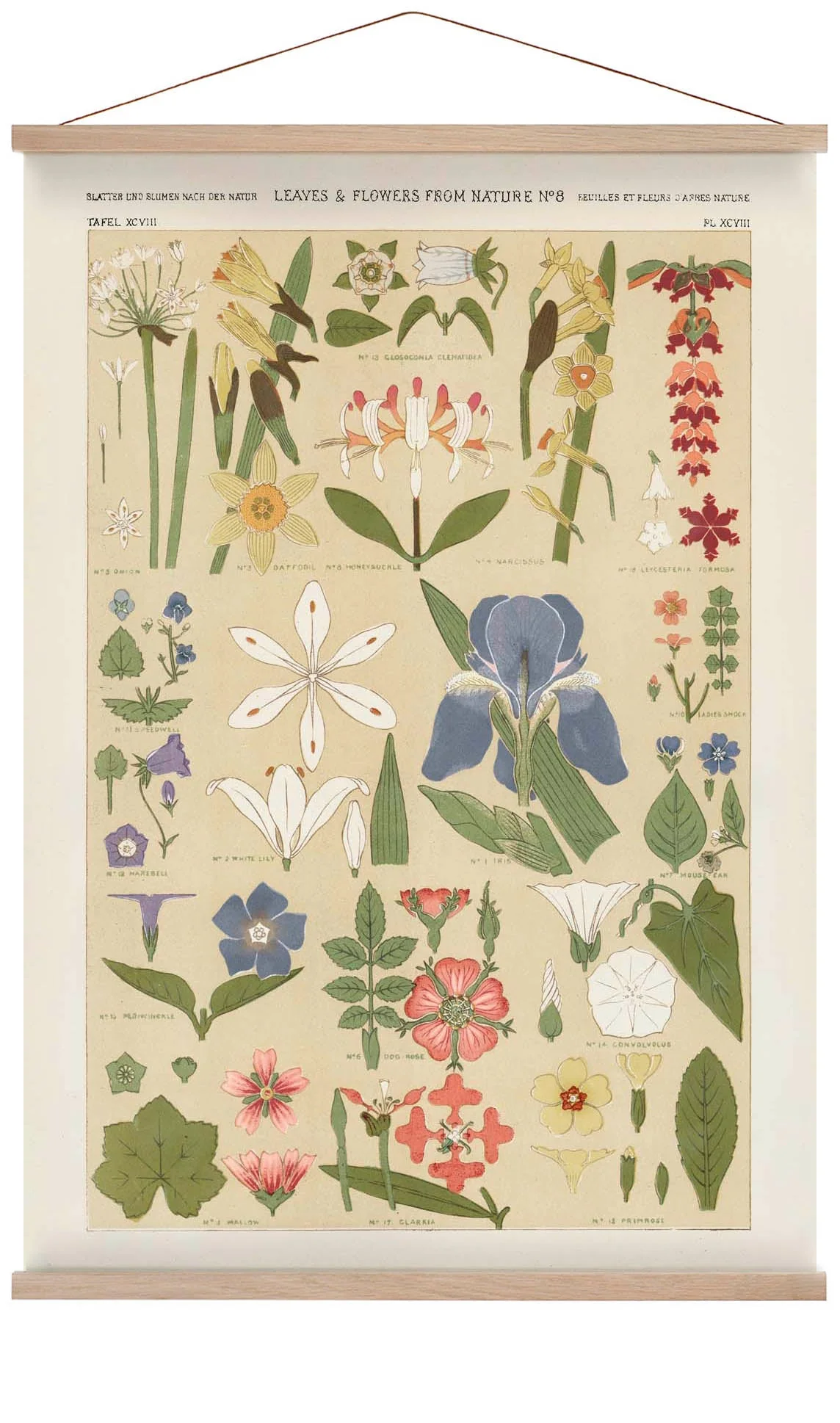 Leaves & Flowers Nr 8 von Owen Jones