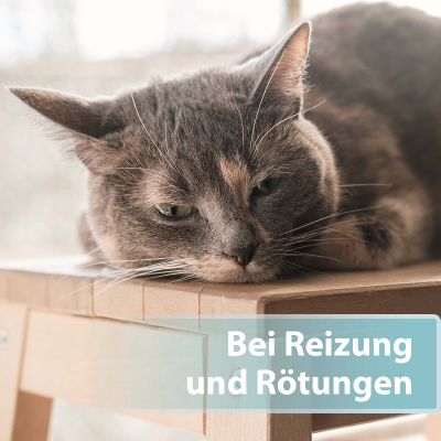 Felisept Hautpflegespray für Katzen 250ml