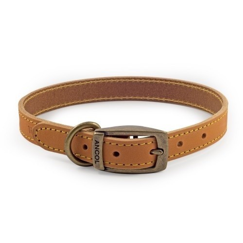 Coleira de couro Timberwolf para cães, cor mostarda