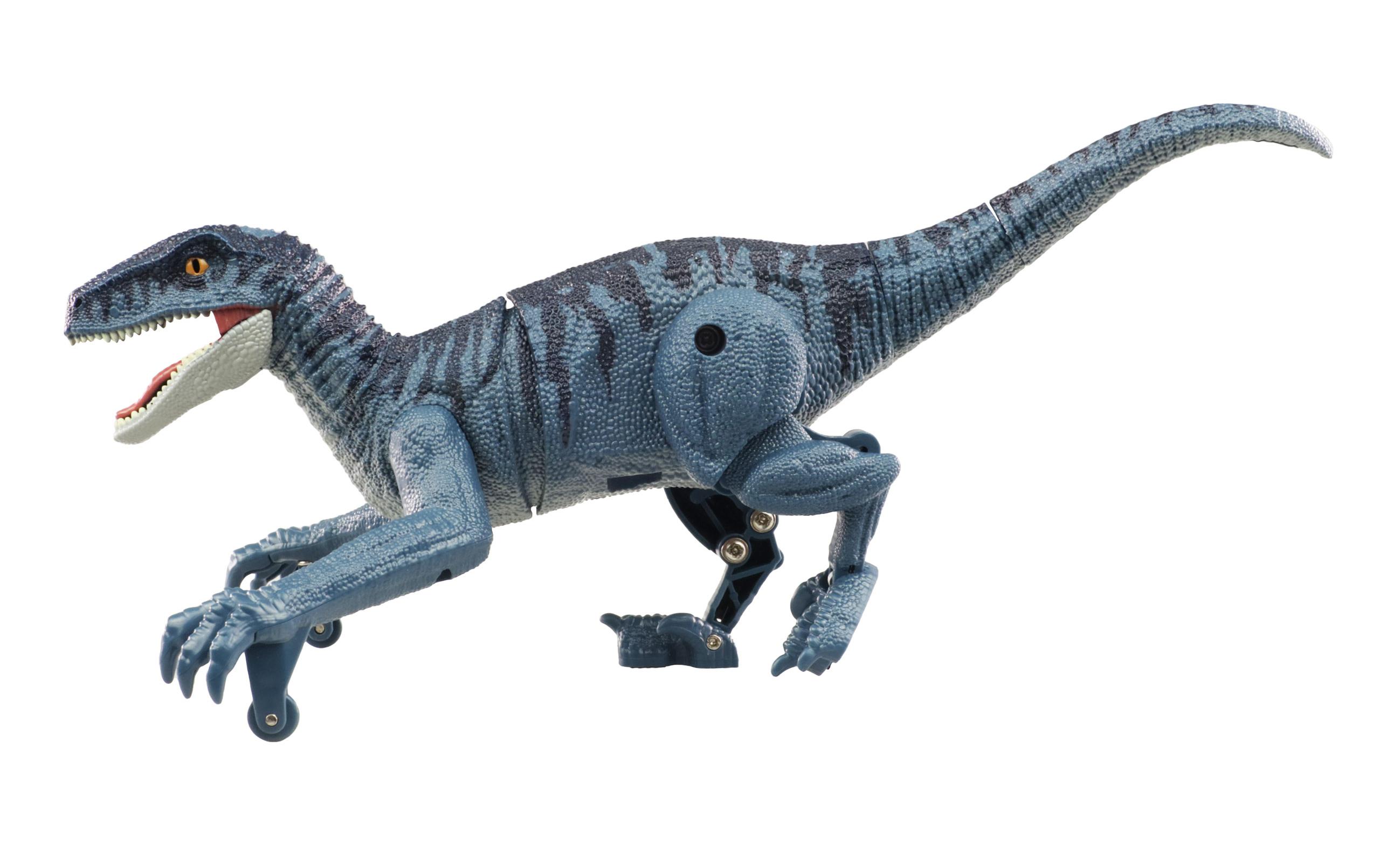 RC Dinosaurier Velociraptor Blaugrau, RTRFerngesteuerter Velociraptor Dino
