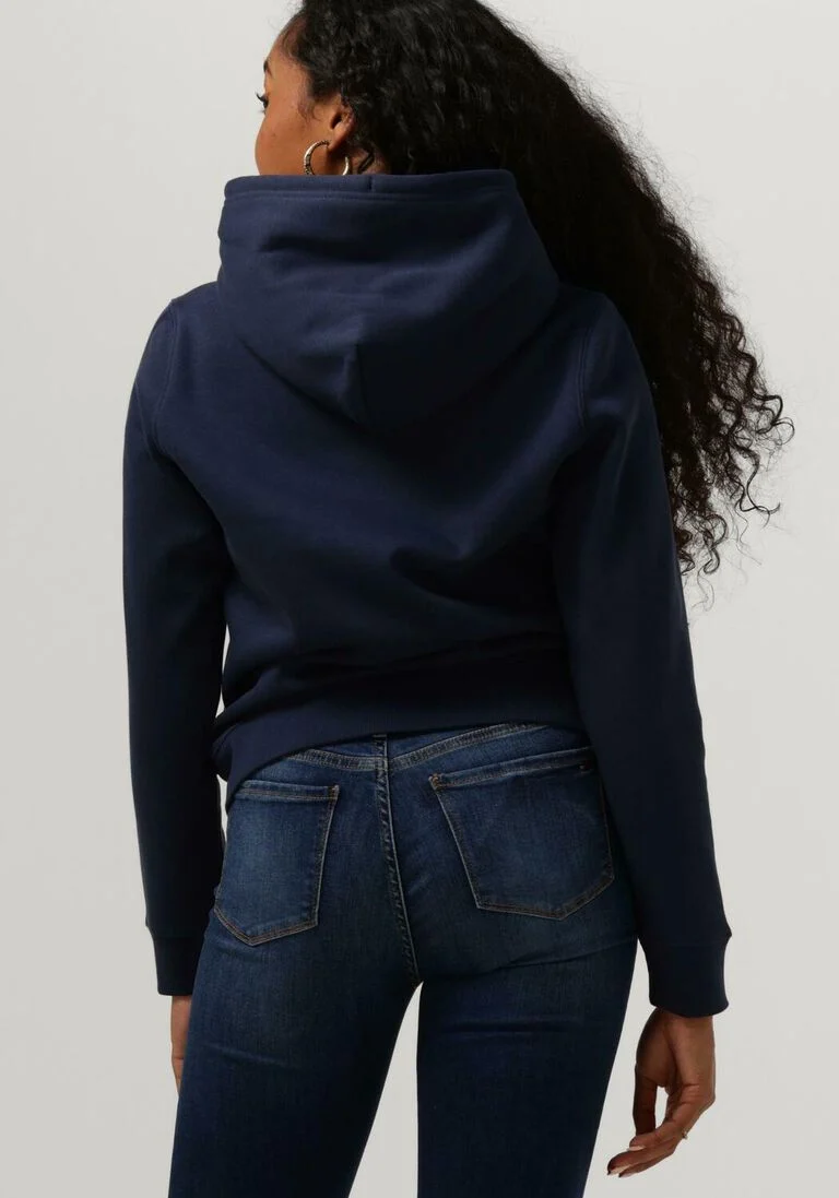 TOMMY JEANS blauwe tommy jeans sweater tjw regular fleece hoodie