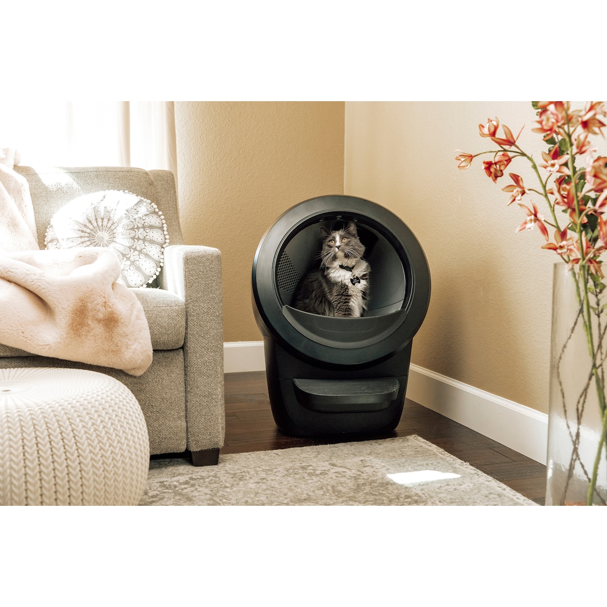 Whisker Litter-Robot 4 Automatic Cat Litter Box - Svart
