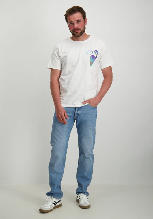 Petrol T-shirt met opdruk M-1050-TSR648