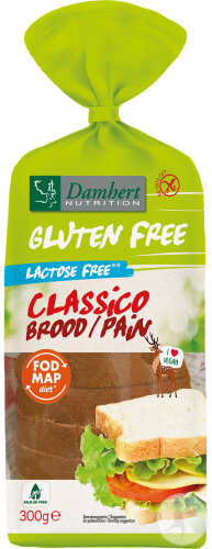 Damhert Sans Gluten Classico Pain Sans Lactose 300g