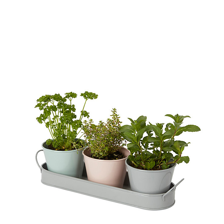 Lot de 3 pots en métal avec support 9cm
