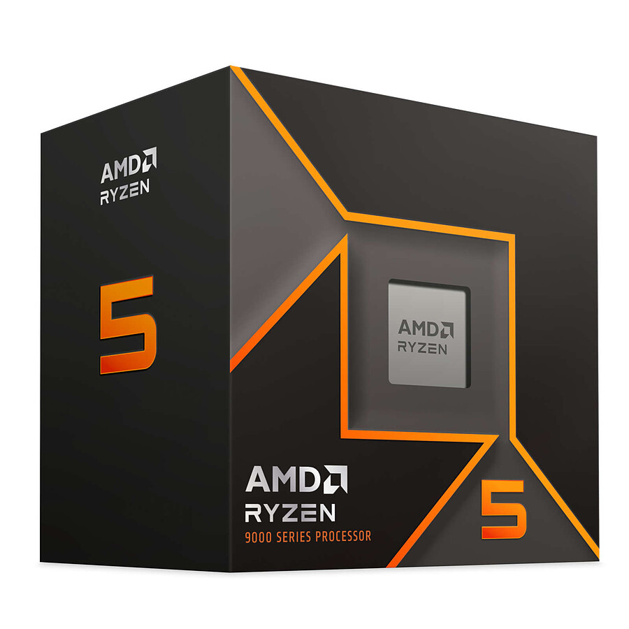 AMD Ryzen 5 9600