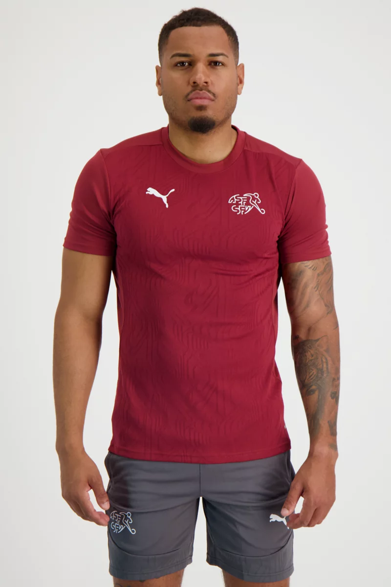 Puma Schweiz Training Herren T-Shirt