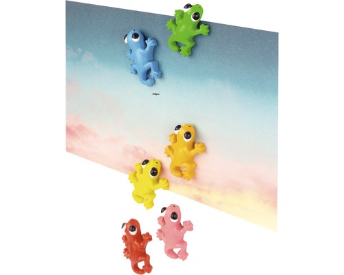 Decoratieve magneet Gecko, set van 6