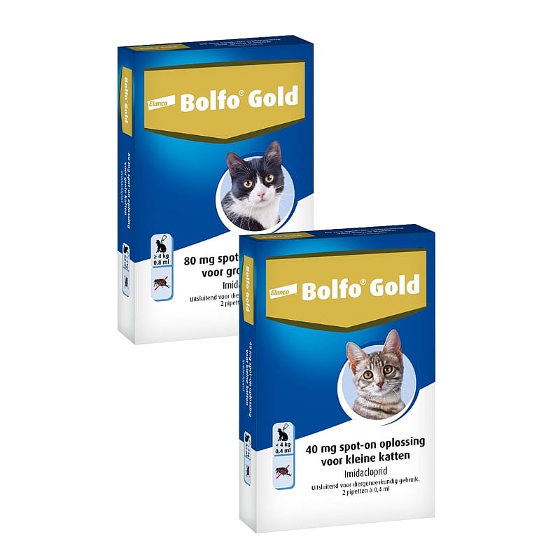 Bolfo Gold kat 40 tot 4 kg 2 pipetten