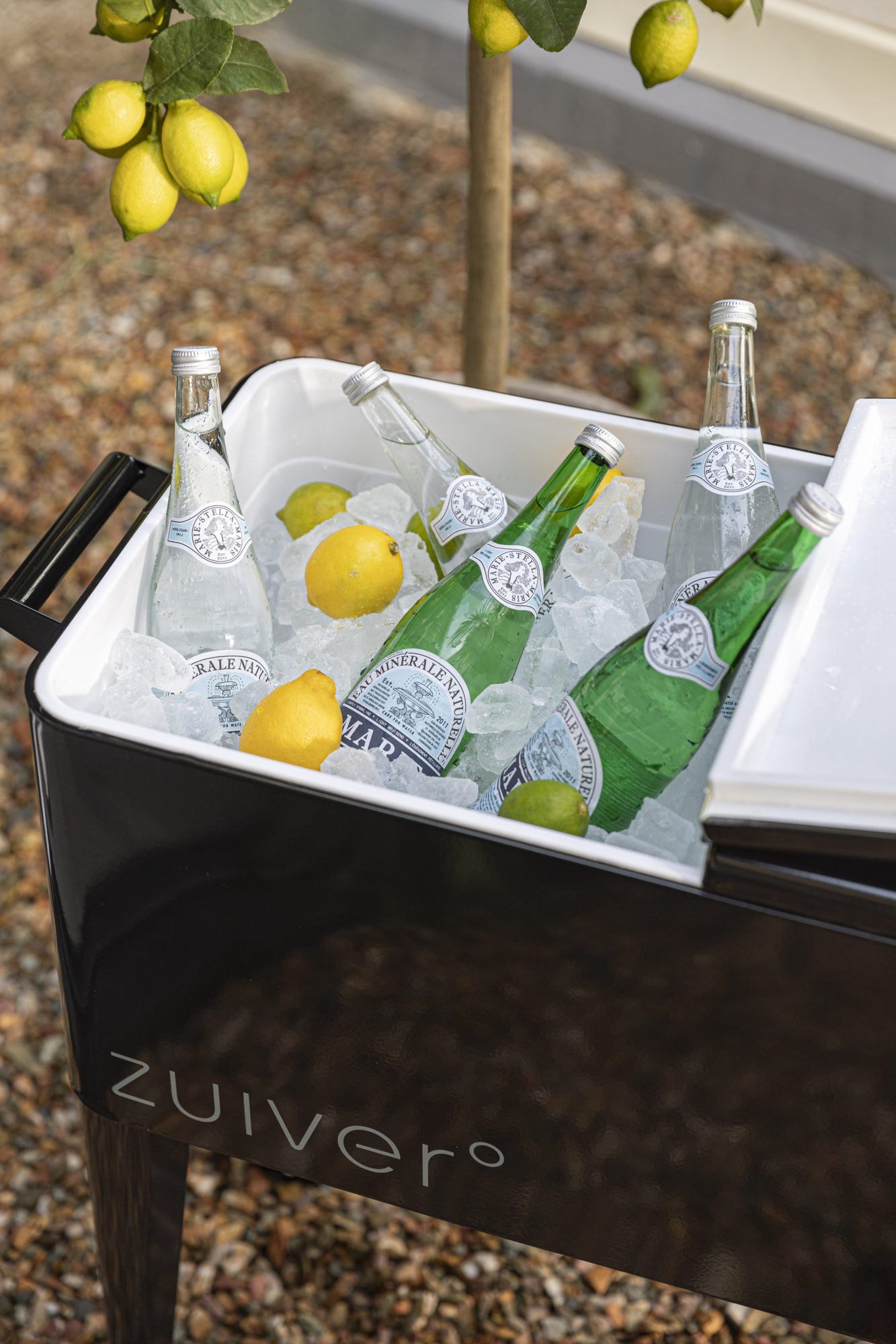 Cooler Be Cool zwart