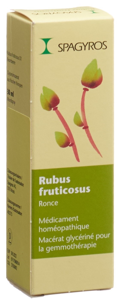 Spagyros Rubus fruticosus Glyc Maz 1 D Spr 30 ml